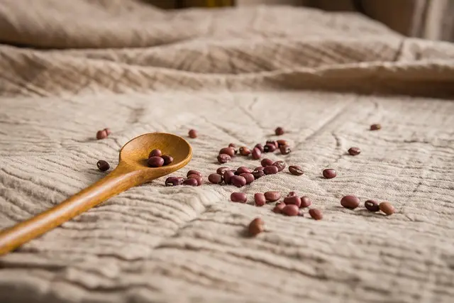 Les meilleures combinaisons d'aliments pour la nutrition vegan sportive