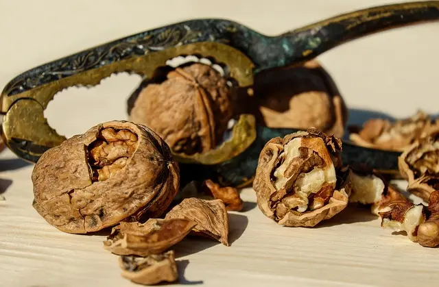 Les 7 meilleures stratégies nutritionnelles pour sportifs vegans