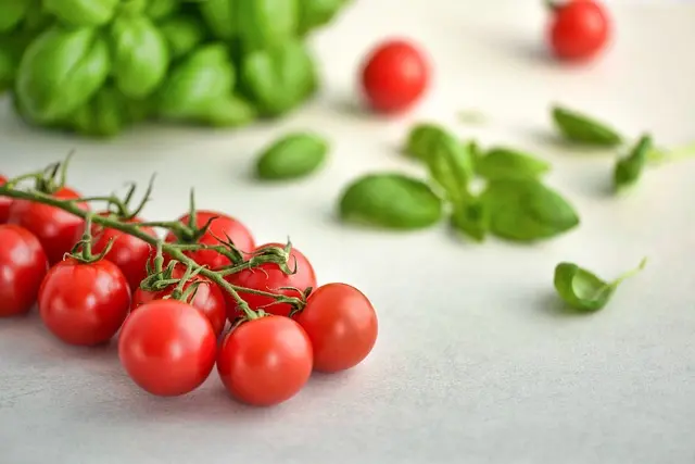 Comment bien préparer ses repas vegan pour la performance sportive