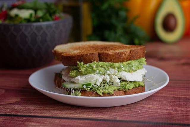 Les meilleures recettes de plats vegan pour sportifs en quête de protéines
